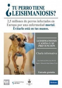 cartell-leishmaniosi