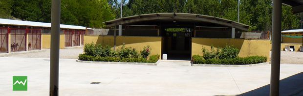 protectora animals alcoi