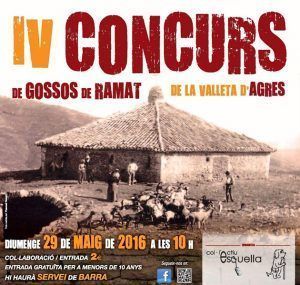 concurs-ramat